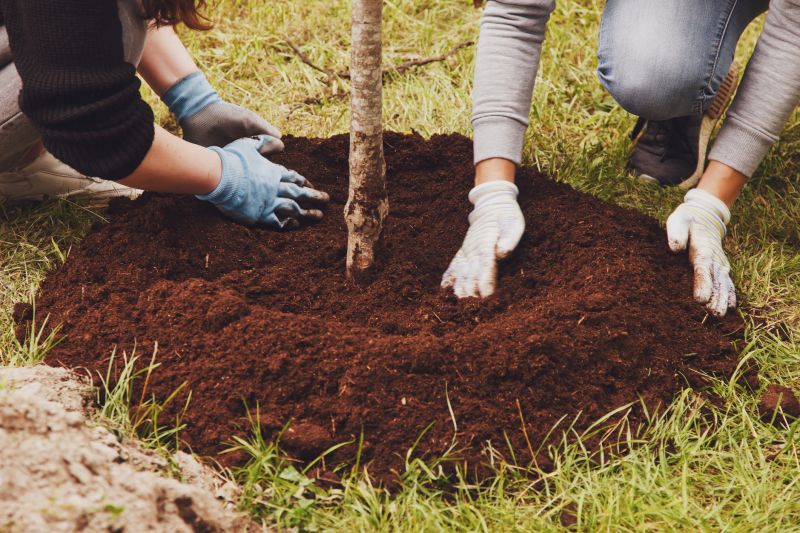 Dogwood Tree Planting in Honolulu, HI