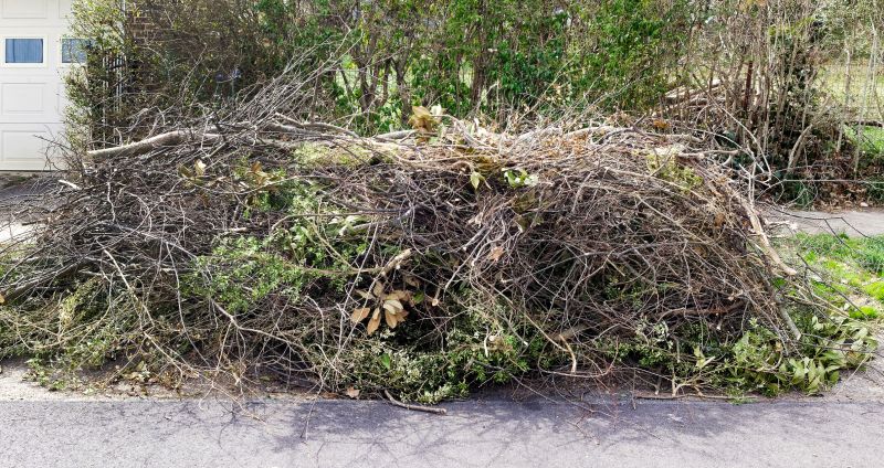 Fallen Branch Removal in Ventura County, CA