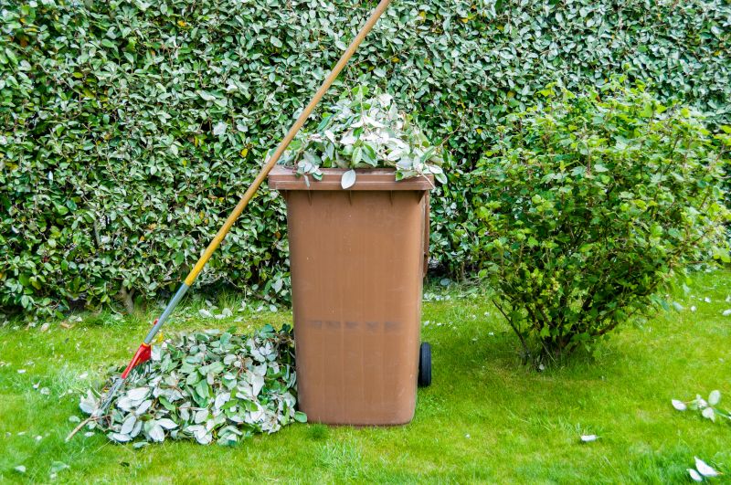 Yard Waste Removal